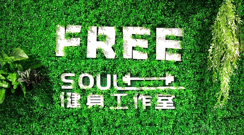 FREE SOUL健身工作室的图标